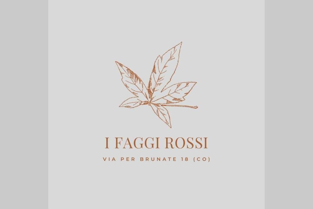 I Faggi Rossi - Red Beech Trees Villa Como Ngoại thất bức ảnh